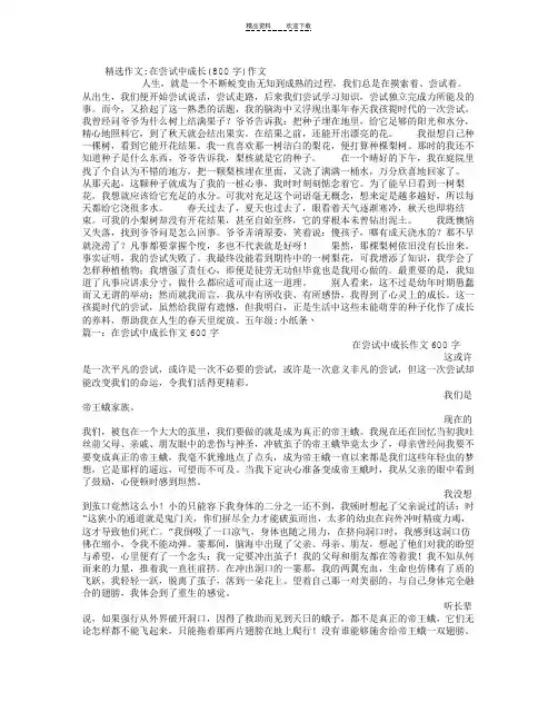 在尝试中成长(800字)作文