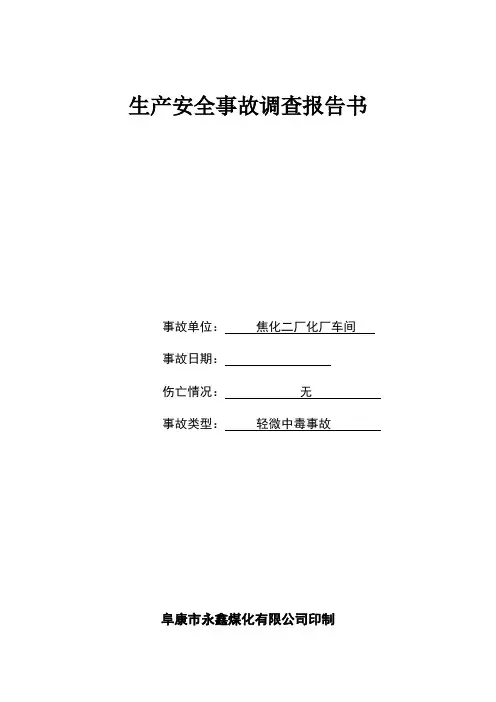 生产安全事故调查报告书