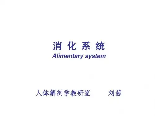 消化系统