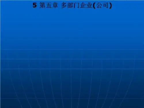 5 第五章 多部门企业(公司)
