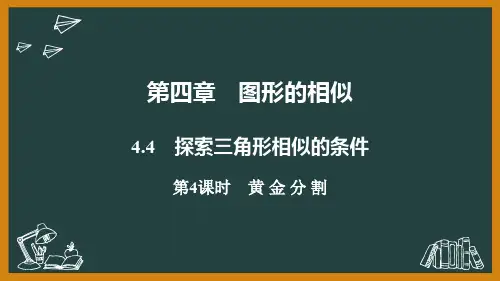 北师大版九年级数学第四章《图形的相似》4.4-第4课时 黄 金 分 割