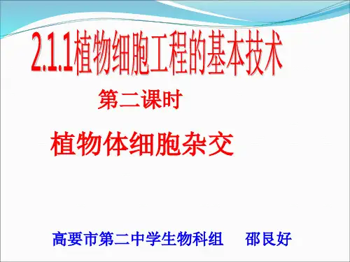 植物体细胞杂交