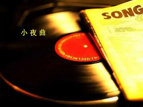 人音版小学音乐 小夜曲 课件 (2)