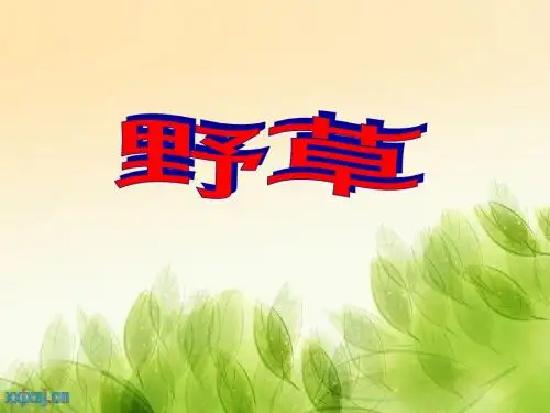 《野草》修改1