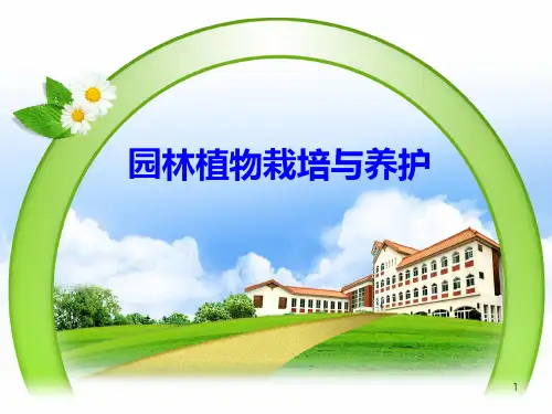 第五章 园林树木的养护技术修改