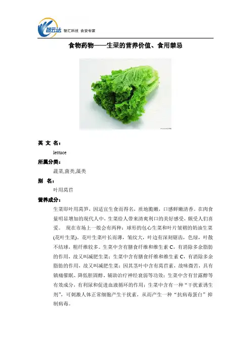 食物药物——生菜的营养价值、食用禁忌