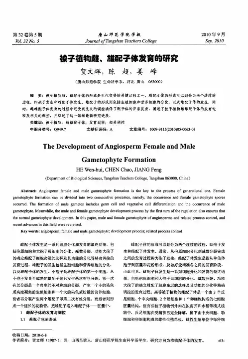 被子植物雌、雄配子体发育的研究