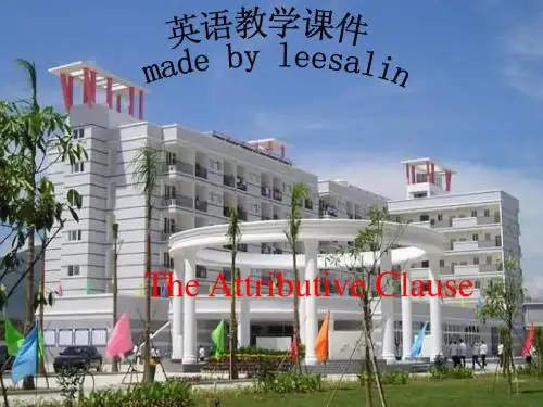 高中语法定语从句