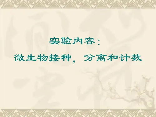 微生物的接种分离和纯培养