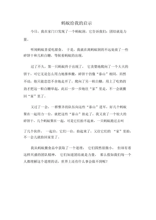 完整版蚂蚁给我的启示