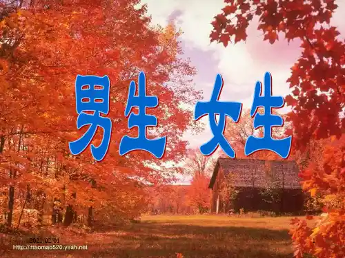 我眼中的男生和女生优质课件PPT