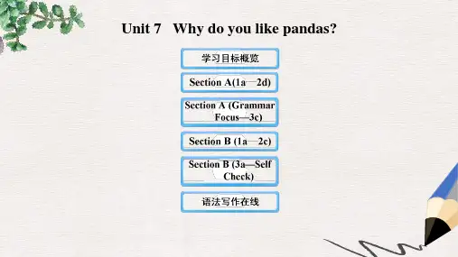 【推荐】六年级英语下册 Unit 7 Why do you like pandas课件 鲁教版五四制
