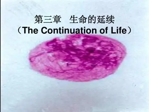 《生命的延续1》青海大学 田今