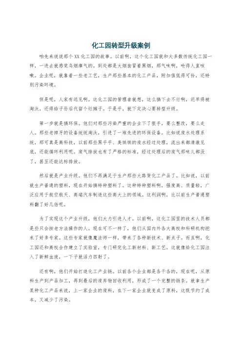化工园转型升级案例