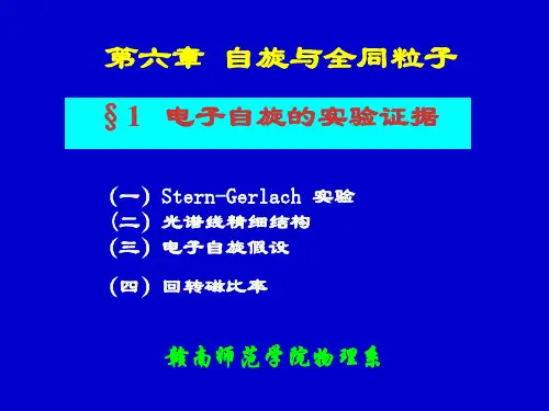 第六章自旋与全同粒子案例
