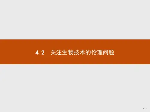 高中生物人教版选修3课件：4.2 关注生物技术的伦理问题