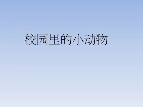 三年级科学校园里的小动物