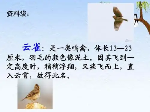 19云雀的心愿1和2