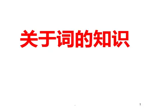 关于词的知识PPT课件