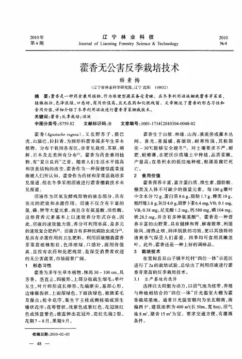 藿香无公害反季栽培技术