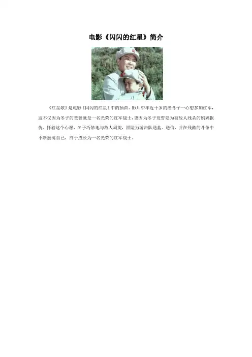 电影《闪闪的红星》简介