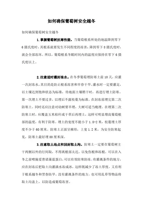 如何确保葡萄树安全越冬