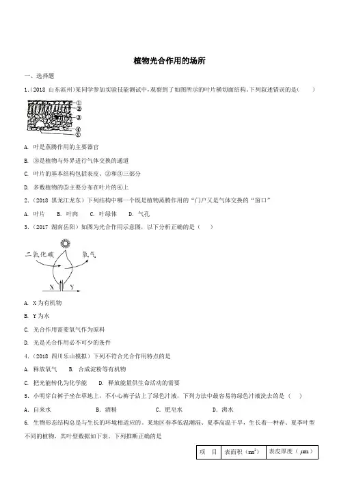 七年级生物上册第6章绿色植物的光合作用和呼吸作用6.2植物光合作用的场所同步练习(含解析)苏教版