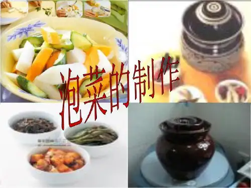 泡菜的制作77532