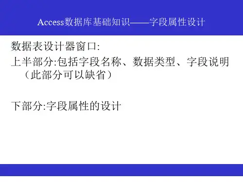 关于字段属性设置讲解