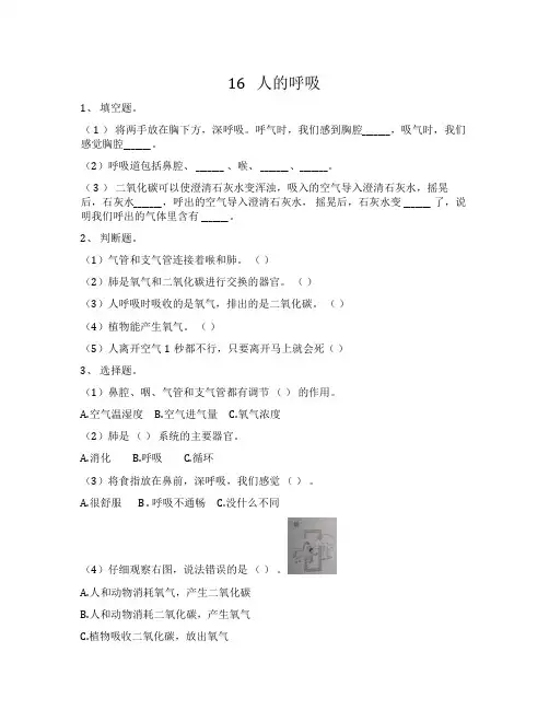 苏教版科学小学三年级上册5.1 人的呼吸(练习试题)