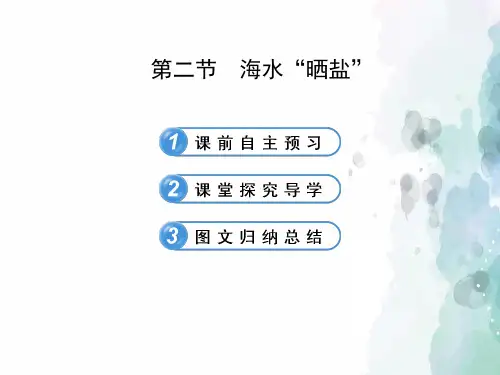 鲁教版化学九年级《海水晒盐》初中复习课件
