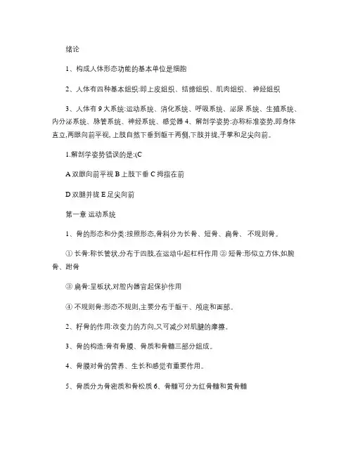 人体解剖学试题及知识点--运动系统.