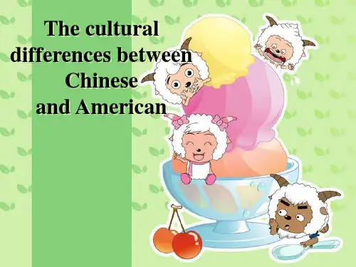 中美文化差异(英文版)