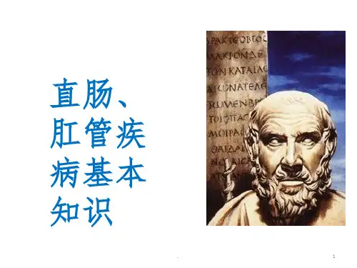 肛肠疾病基本知识ppt课件