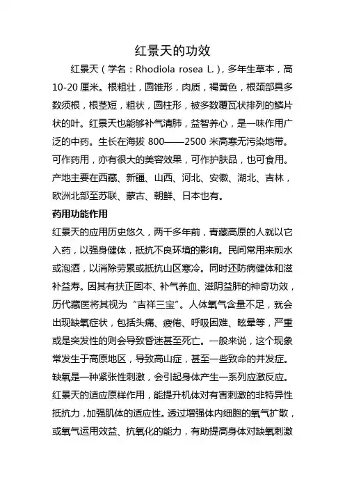 红景天的功效