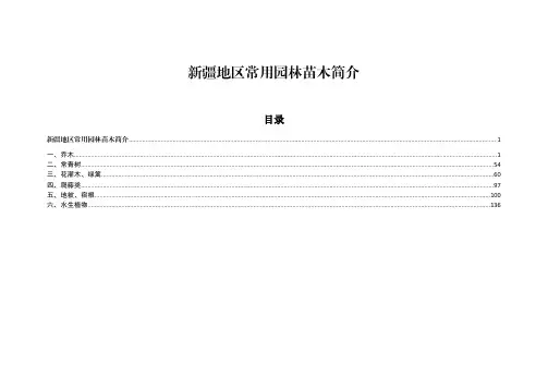新疆地区常用园林苗木简介