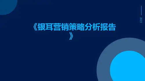 银耳营销策略分析报告