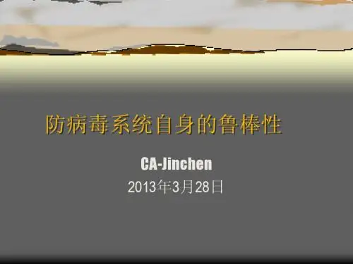 防病毒系统自身的鲁棒性