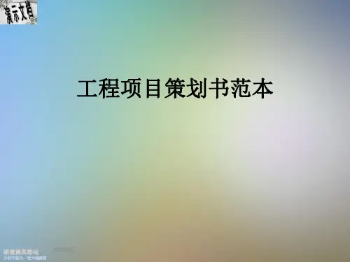 工程项目策划书范本