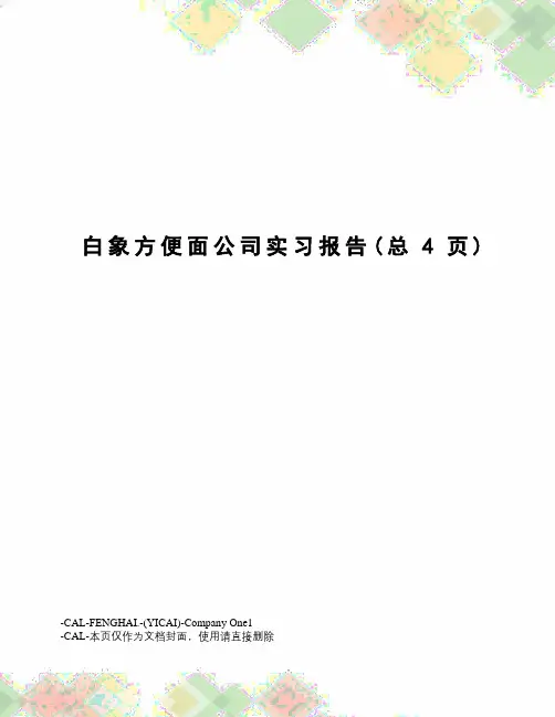 白象方便面公司实习报告