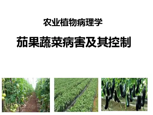 农业植物病理学:茄果蔬菜病害及其控制