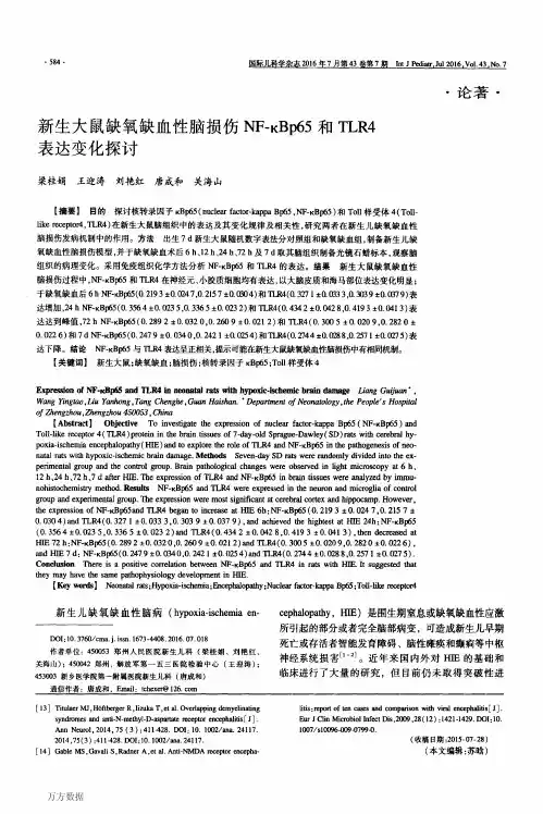 新生大鼠缺氧缺血性脑损伤NF-κBp65和TLR4表达变化探讨重点