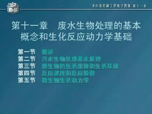 【环境工程】11反应动力学