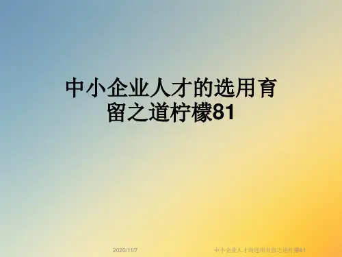中小企业人才的选用育留之道柠檬81