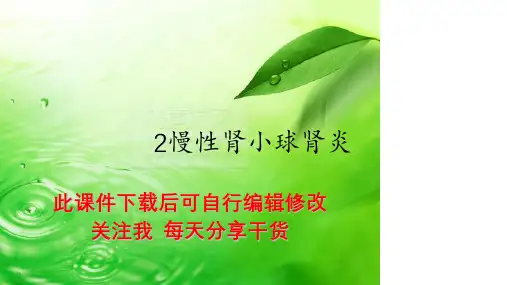 2慢性肾小球肾炎PPT课件