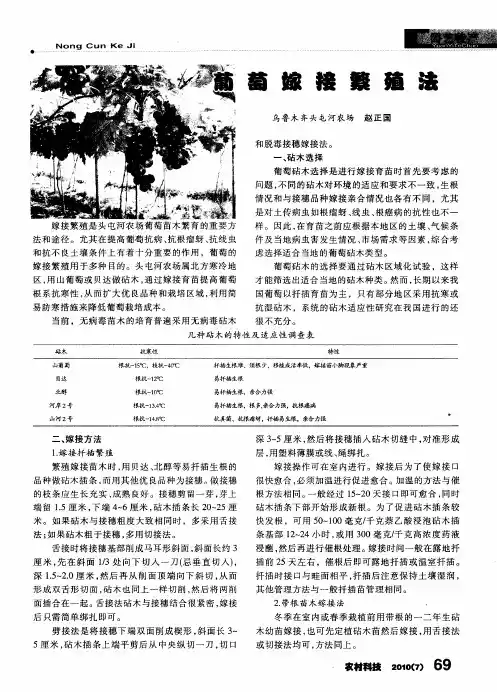 葡萄嫁接繁殖法