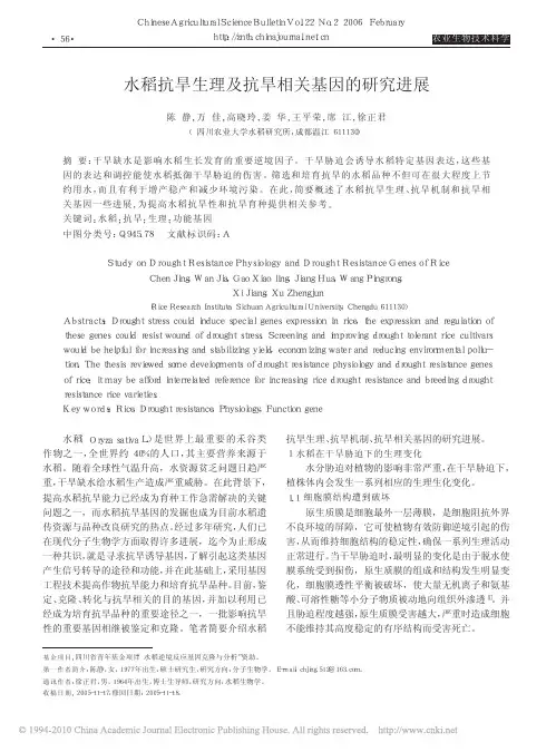 水稻抗旱生理及抗旱相关基因的研究进展
