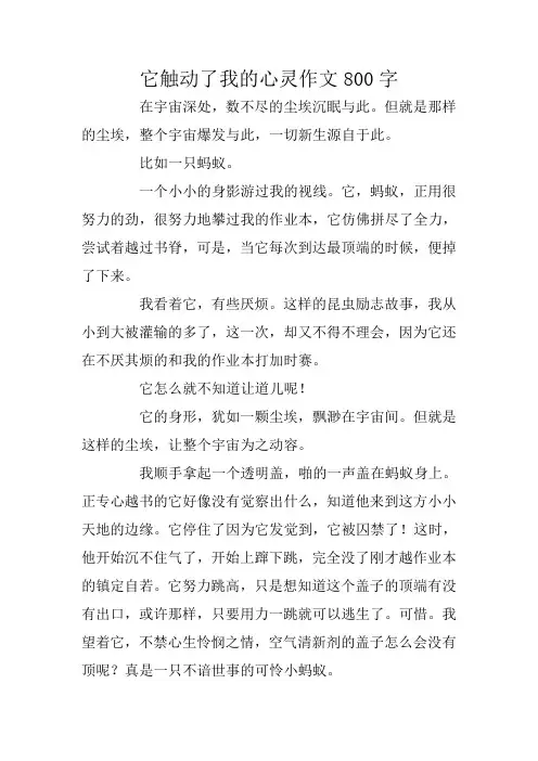 中学生作文：它触动了我的心灵作文800字