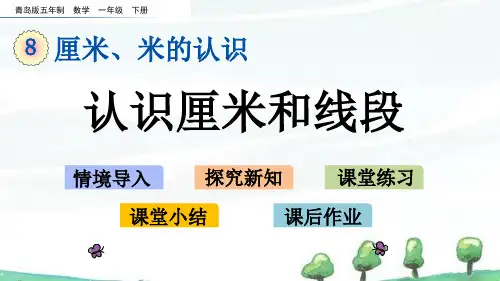 青岛版(五年制)数学一年级下册《第八单元 厘米、米的认识8.1 认识厘米和线段》教学课件