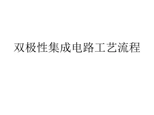 双极性工艺